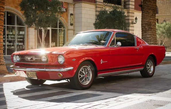 Picture red, Mustang, Ford, classic, the front, Muscle car