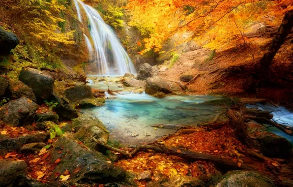 Picture colorful, forest, beautiful, autumn, leaves, waterfall, fall, foliage