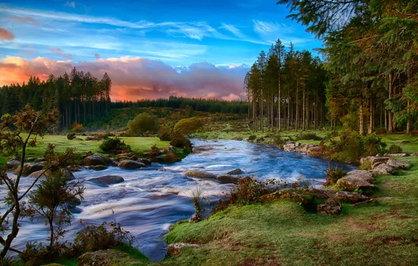 Picture forest, clouds, river, morning, Devon, Dartmoor national Park, South West England