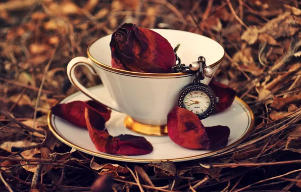 Picture autumn, grass, leaves, watch, rose, petals, Cup, red, saucer