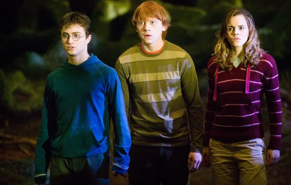 Picture surprise, Harry Potter, Emma Watson, Harry Potter, Harry Potter and the order of the Phoenix, …