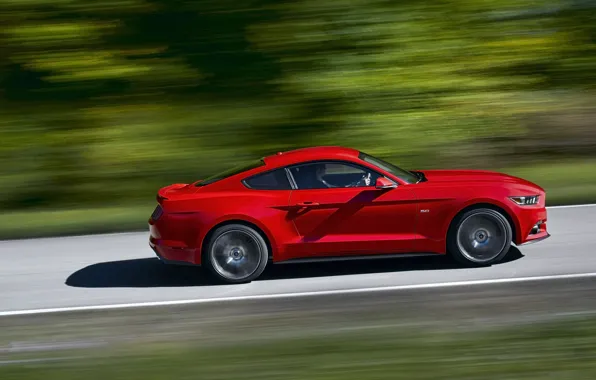 Picture road, speed, ford mustang