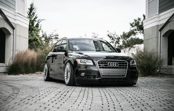 Picture Audi, audi, wheels, black, jdm, tuning, front, face, germany, low, stance, dropped