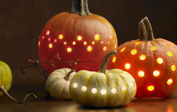 Picture light, holiday, pumpkin, Halloween, Halloween
