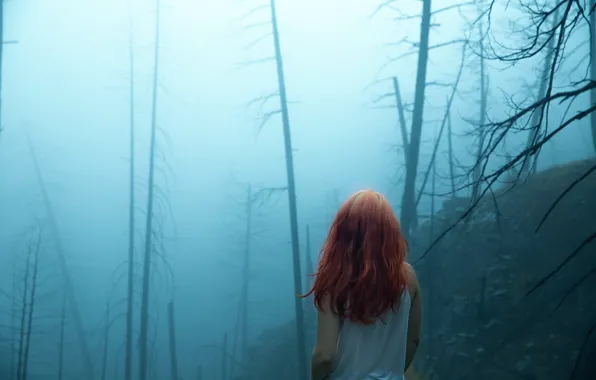 Picture forest, girl, fog, hair, Lichon