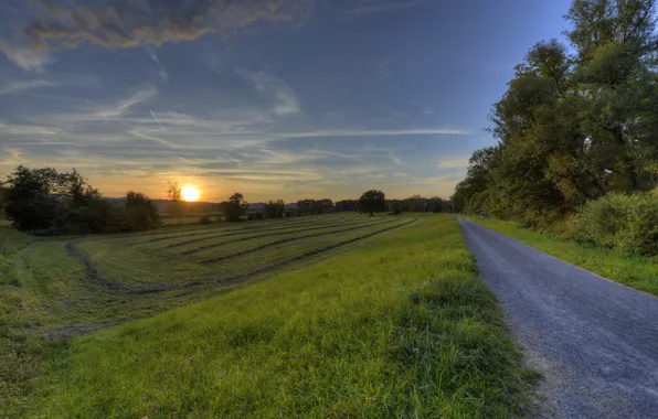 Picture road, field, trees, sunset