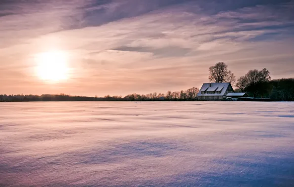Picture winter, the sky, the sun, clouds, snow, trees, nature, house, background, tree, Wallpaper, wallpaper, house, …