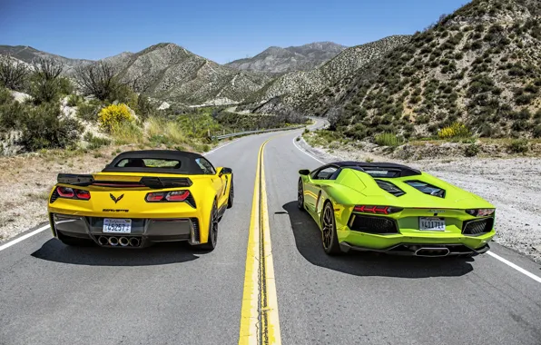 Picture Lamborghini, Z06, Corvette, Chevrolet, supercar, convertible, Chevrolet, Lamborghini, Corvette, LP700-4, Aventador, aventador, Convertible