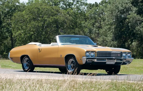 Picture road, grass, trees, Buick, 1971, convertible, the front, Muscle car, Convertible, Muscle car, Buick, 2-dr, …