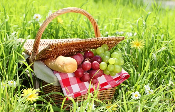Picture summer, grass, basket, chamomile, bread, grapes, picnic, baton