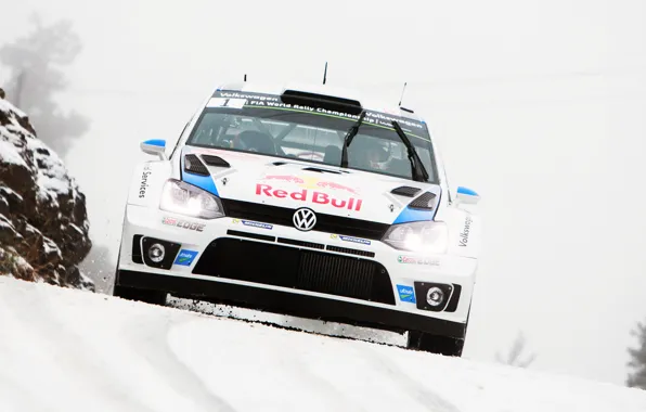 Picture Winter, Auto, White, Snow, Volkswagen, Speed, Logo, Red Bull, WRC, Rally, The front, Polo