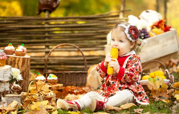 Picture autumn, leaves, basket, corn, dress, girl, girl, little, cakes, autumn, decor, baby, basket