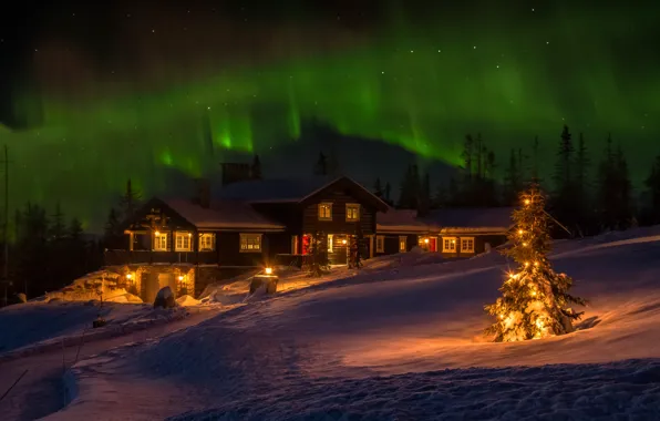 Picture winter, house, holiday, Northern lights, Norway, tree
