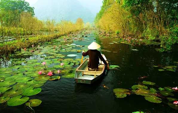 Picture leaves, flowers, river, boat, Lotus, Vietnam