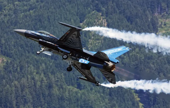 Picture fighter, Fighting Falcon, multipurpose, F-16AM