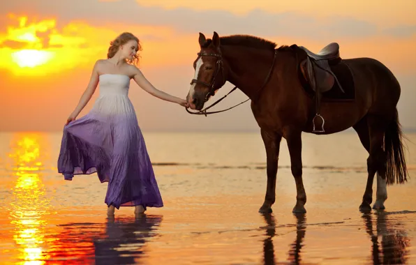 Picture sea, girl, sunset, coast, horse, girl, sea, coast, sunset, horse
