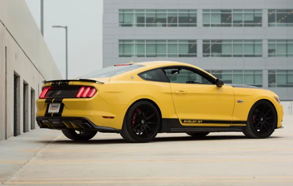 Picture car, auto, Mustang, Ford, Shelby, Mustang, Shelby, yellow