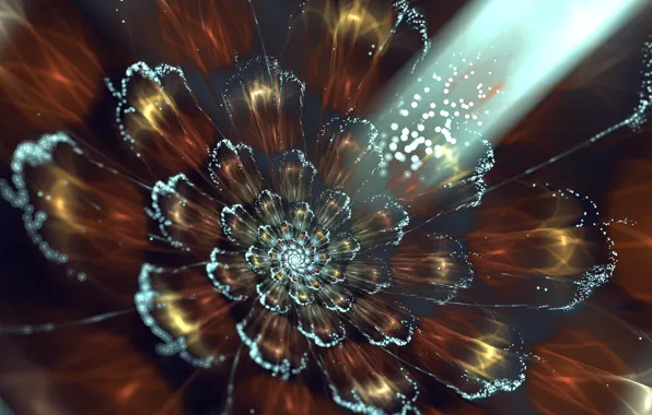 Picture flower, rays, light, graphics, fractal, bokeh, the sheaf