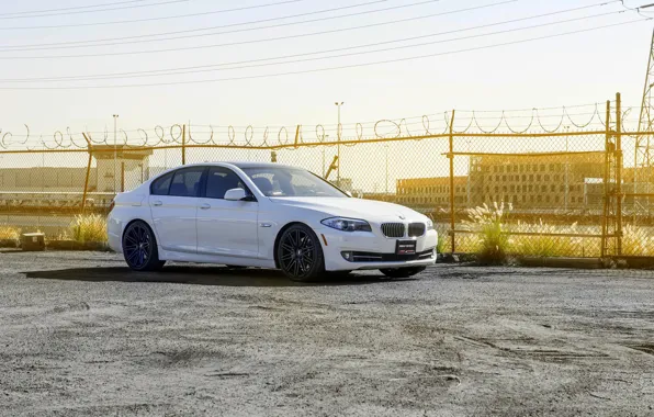 Picture BMW, 535i, F10. white, XO Wheels