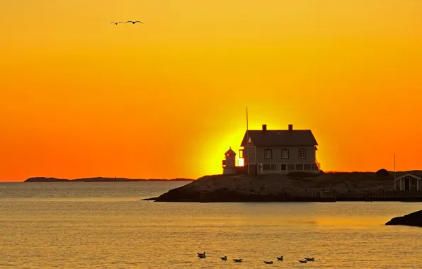 Picture sunset, birds, house, island, glow, Sweden, The Baltic sea, Gotland