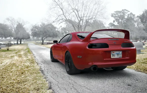 Picture trees, red, supra, red, toyota, Toyota, back, supra
