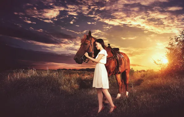 Picture girl, sunset, mood, horse