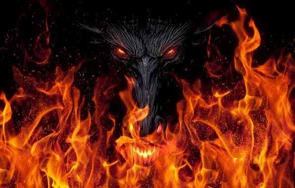 Picture look, background, fiction, fire, black, dragon, art, mouth