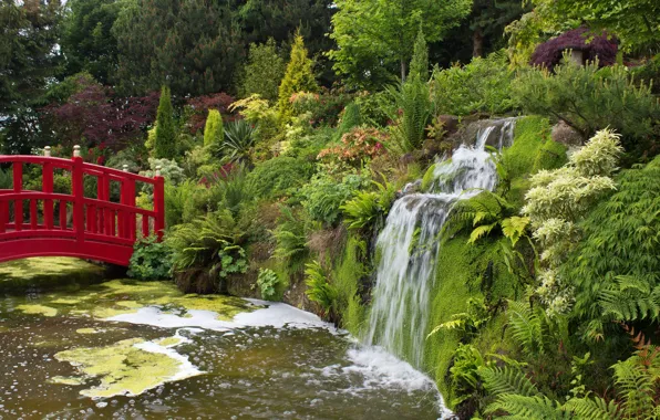 Picture greens, bridge, pond, Park, waterfall, UK, the bushes, Mount Pleasant gardens