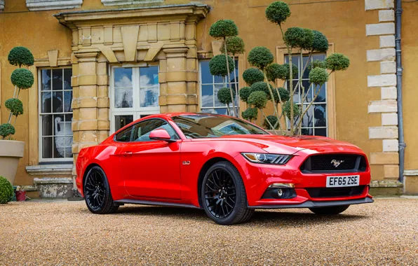 Picture Mustang, Ford, Mustang, Ford, Convertible