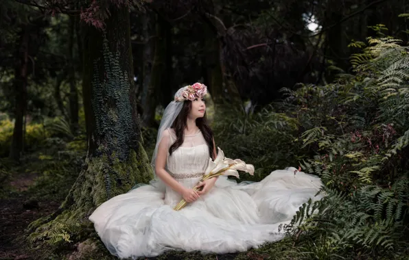 Picture forest, girl, nature, bouquet, Asian, wedding dress
