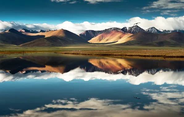 Picture the sky, clouds, flight, mountains, lake, reflection, bird, China, china, Tibet, tibet
