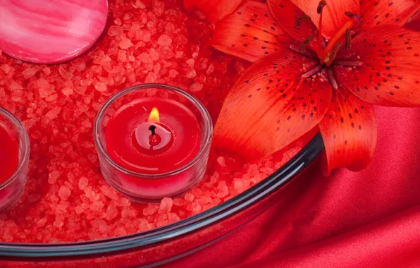 Picture flower, Lily, candle, Spa