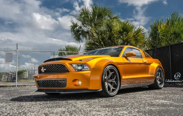 Picture Mustang, Ford, Shelby, GT500, muscle car, front, orange, Super Snake, Ultimate Auto, Vellano Wheels, wide …