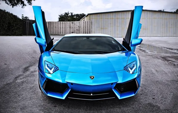 Picture car, up, Lamborghini, door, blue, LP700-4, Aventador, door