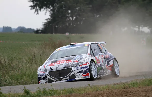 Picture Grass, Dust, Peugeot, Rally, 208, T16, ERC