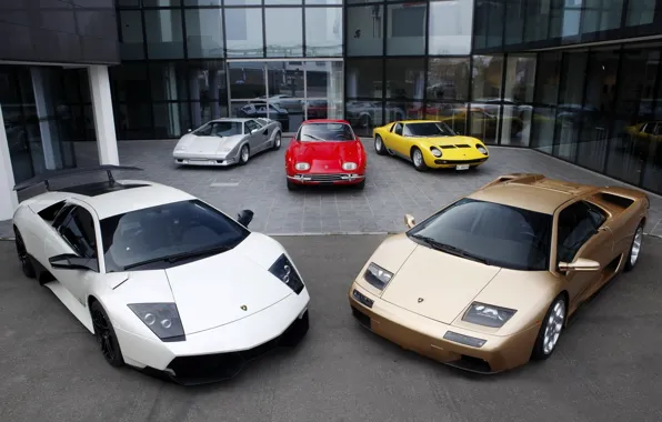 Picture Lamborghini, Murcielago, 350 GT, Diablo, Miura, Countach