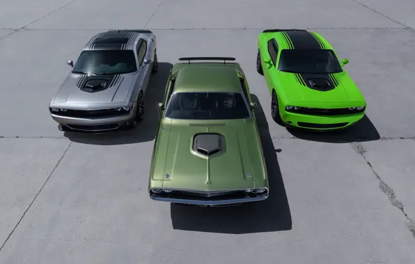 Picture Dodge, Challenger, Dodge Challenger, Trio, Dodge cars, Challenger trio