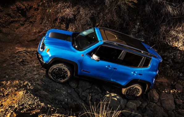 Picture jeep, Jeep, Trailhawk, 2015, Renegade