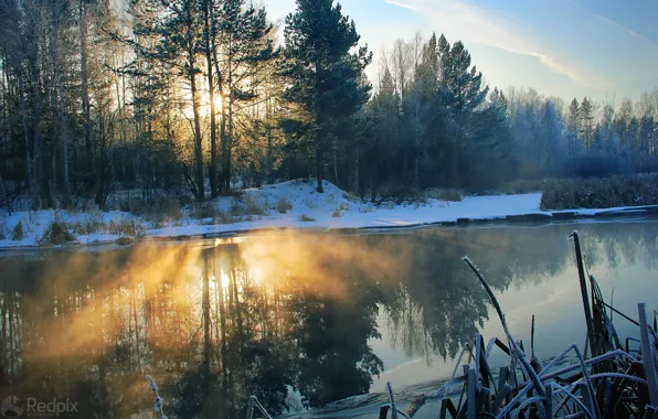 Picture light, snow, trees, landscape, nature, river, morning