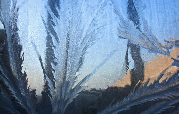 Picture winter, glass, frost