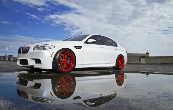 Picture white, reflection, BMW, puddle, BMW, white, f10
