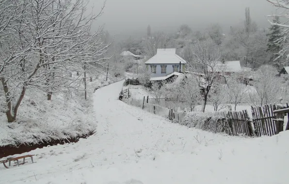 Picture winter, Kuban, the village, Akela White, Krasnodar Krai