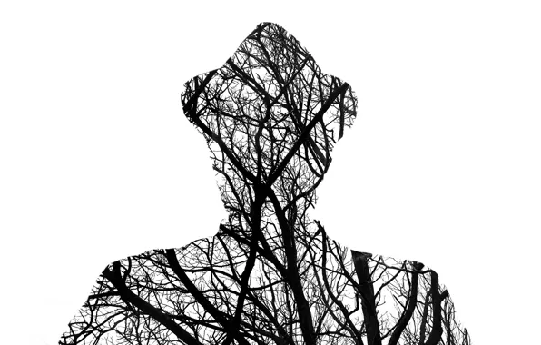 Picture man, branches, silhouette