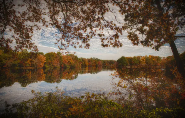 Picture autumn, nature, lake, Maryland