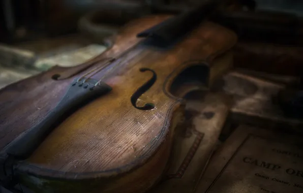 Picture macro, music, violin