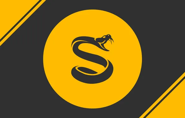 Picture logo, snake, yellow, splyce csgo