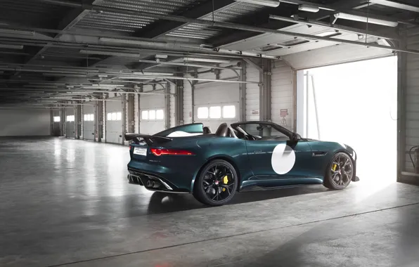 Picture Jaguar, F-Type, Project 7, 2015