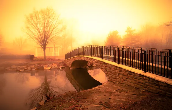 Picture light, river, fog, pond, golden morning, footbridge