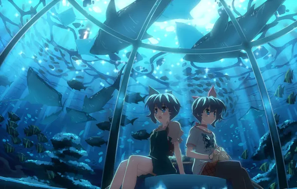 Picture fish, aquarium, Anime