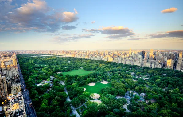 Picture trees, home, New York, USA, Central Park
